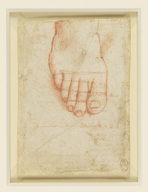 Recto: A right foot with lines of proportion, c.1493-94 (chalk on paper)
