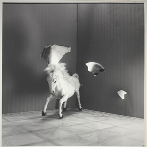 Hommage to Forrest Bess (Triptych), 1983 (gelatin silver print with toning)