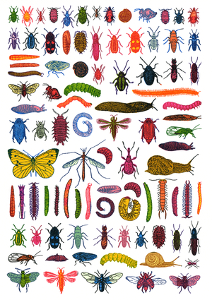 Garden Pests, 2007 (screen print)