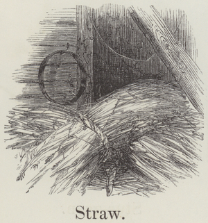 Straw (engraving)