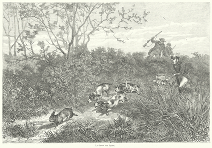 La chasse aux lapins (engraving)