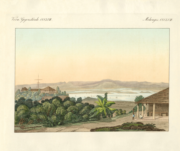 Pulu Penang (coloured engraving)
