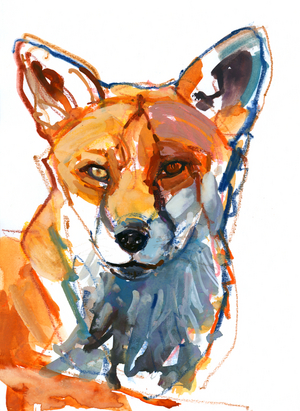 Dog fox, 2021, (mixed media on paper)