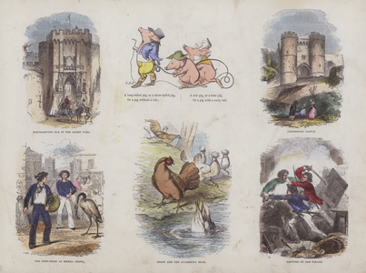 Page from the Attractive Picture Book (coloured engraving)