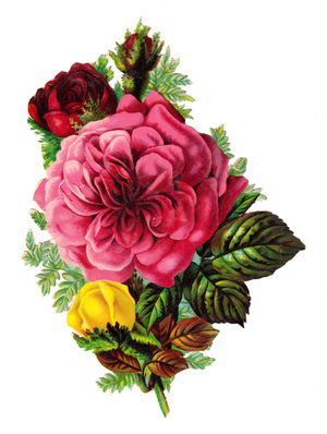 A Victorian Floral Paper Scrap Relief of roses, c.1880 (colour litho)