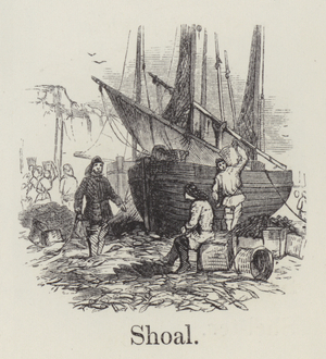 Shoal (engraving)