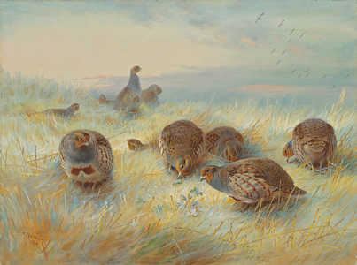 A frosty dawn, 1927 (pencil & watercolour heightened with bodycolour & touches of gum arabic on paper laid on board)