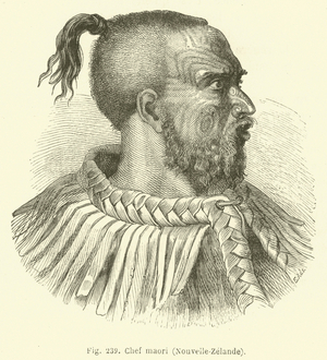 Chef maori, Nouvelle-Zelande (engraving)