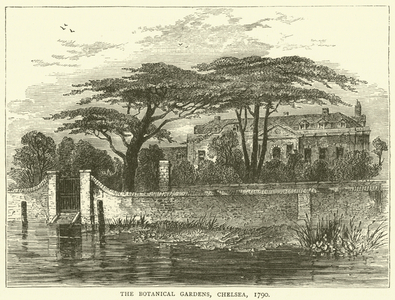 The Botanical Gardens, Chelsea, 1790 (engraving)