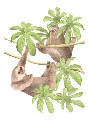 Costa Rica Sloths, 2019 (graphite pencil & digital)