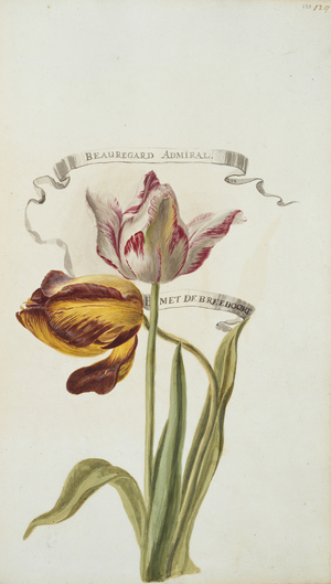 Beauregard Admiral and B met De Breeboort