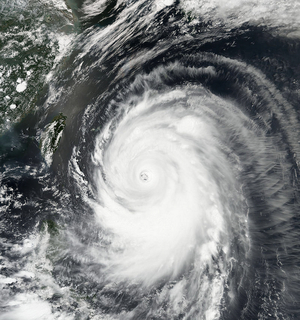Typhoon Neoguri, 2014