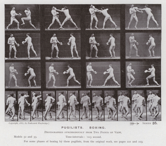 The Human Figure in Motion: Pugilists, Boxing (b/w photo)