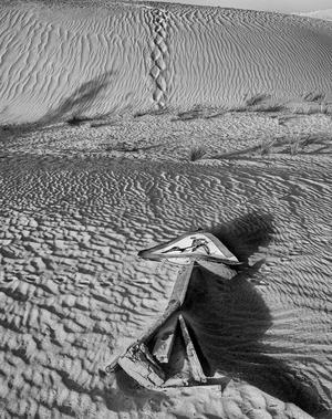 Not, This Way, 2022 (photo)