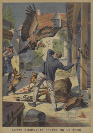 A man fighting off a vulture (colour litho)