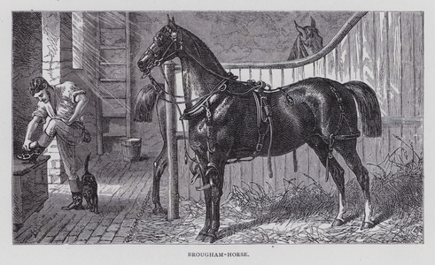 Brougham-Horse (engraving)