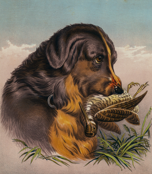 The Retriever (colour litho)