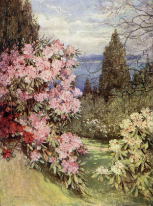 Scottish Gardens: Stonefield (colour litho)