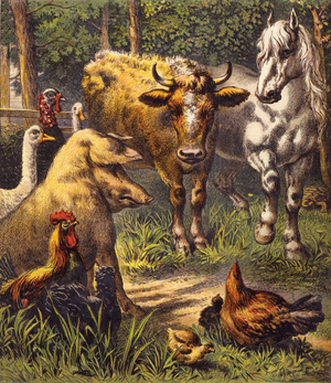 The Hare And The Tortoise (colour litho)