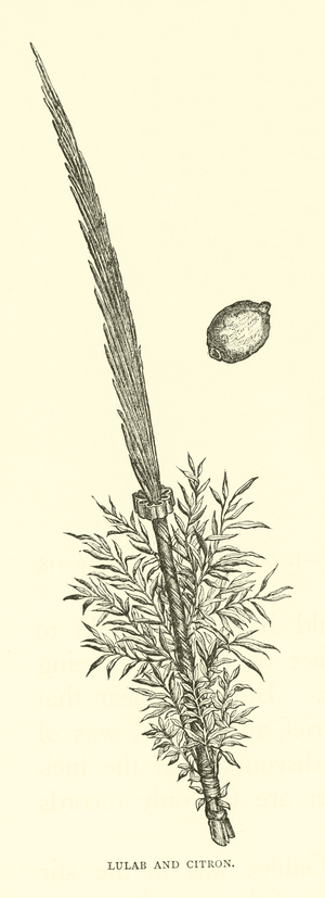 Lulab and Citron (engraving)