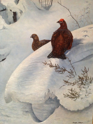 Grouse in Snow, c.1985 (oil on canvas)