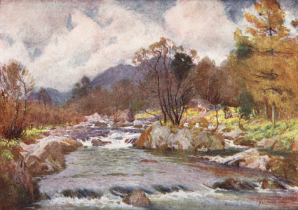 Lake District: Daffodils by the Banks of the Silvery Duddon (colour litho)