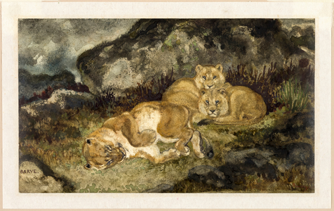 Lioness and Cubs, c.1832 (w/c & graphite, on ivory wove paper)