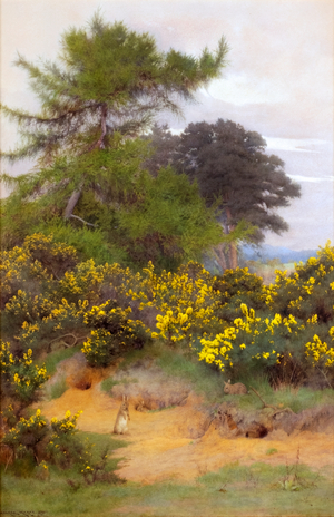 On the edge of Shere Heath, 1890 (watercolour)