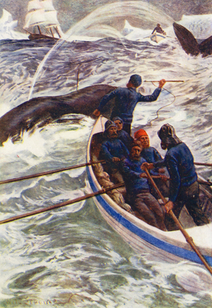 Illustration for The World of Ice or the Whaling Cruise of The Dolphin (colour litho)