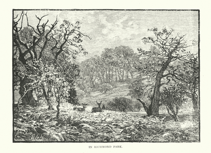 In Richmond Park (engraving)