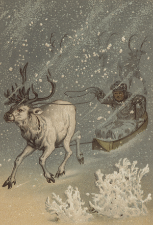 The reindeer (chromolitho)