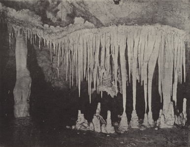 Nellie's Grotto, Jenolan Caves (b/w photo)