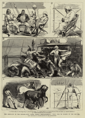 The Rebellion in the Soudan, with Baker Pasha's Reinforcements, from Suez to Suakim by the Red Sea (engraving)