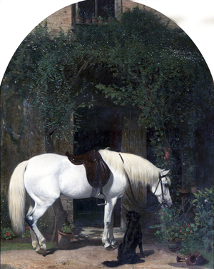 White Horse and Retriever (oil on canvas)