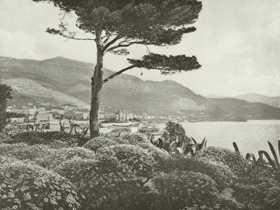 La Cote D’Azur: Monte Carlo, Le Tir aux Pigeons (b/w photo)