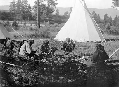 Salish woman sitting on the ground preparing meat
