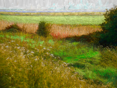 Summer Meadow, 2019, (manipulated photography) 