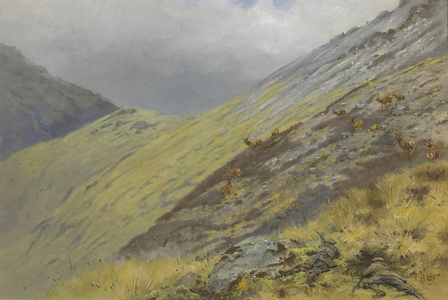 Stalking in the Highlands
