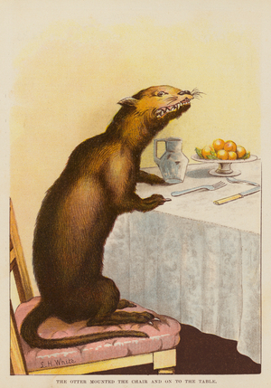 The otter mounted the chair and on to the table (colour litho)