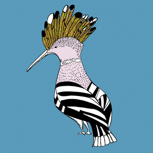 Hank Hoopoe, 2014 (pen and ink, digitally coloured)