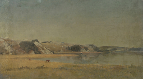 Landscape (oil on canvas)