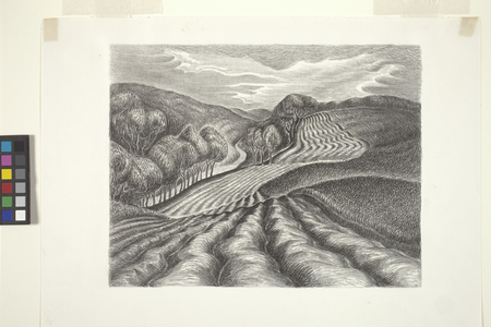 Ploughed Fields (ink, pencil)