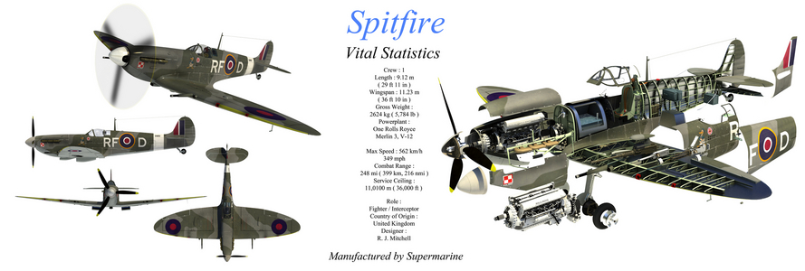Spitfire (illustration)