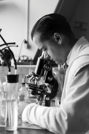 Scientific research in the German Bight, Germany 1930s (b/w photo)