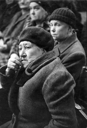 Austrian parliamentary elections …, 1953 (photo)