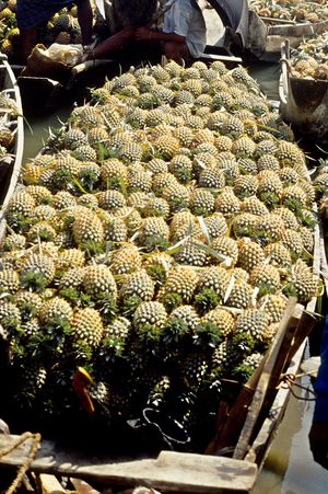 A cartful of pineapples are being taken to the marketplace for sale. Chittagong, Bangladesh.  (photo)