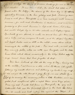 A description of the twilight peace of the lane above Thornfield in which Jane Eyre first meets Mr. Rochester
