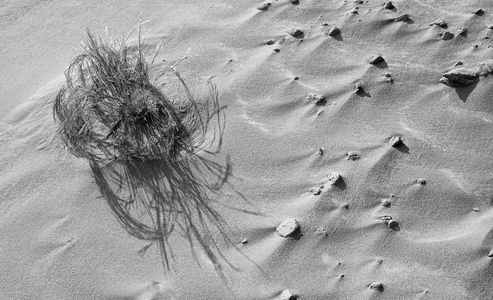 Sand abstract II, 2022 (photo)