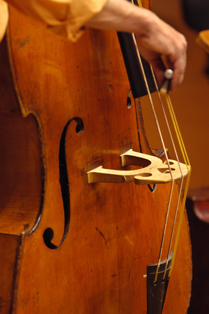 Double bass