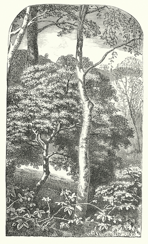 Spring (engraving)